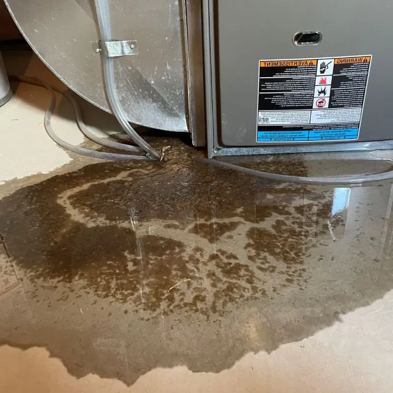 Pipe Burst and Leak Restoration in Hillandale, MD